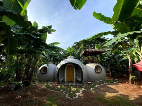 Adorable Dome House